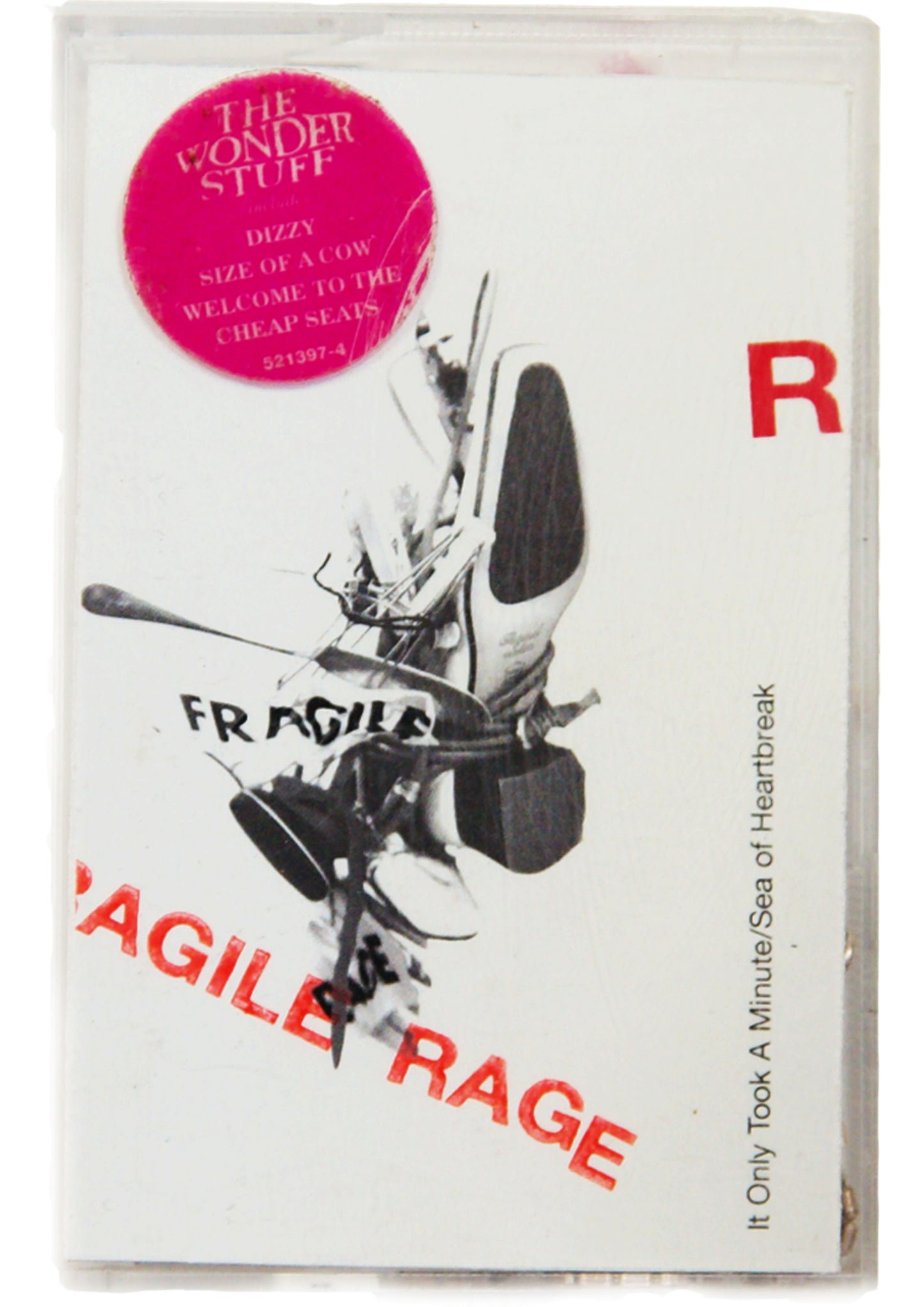 'FRAGILE RAGE' EARRING